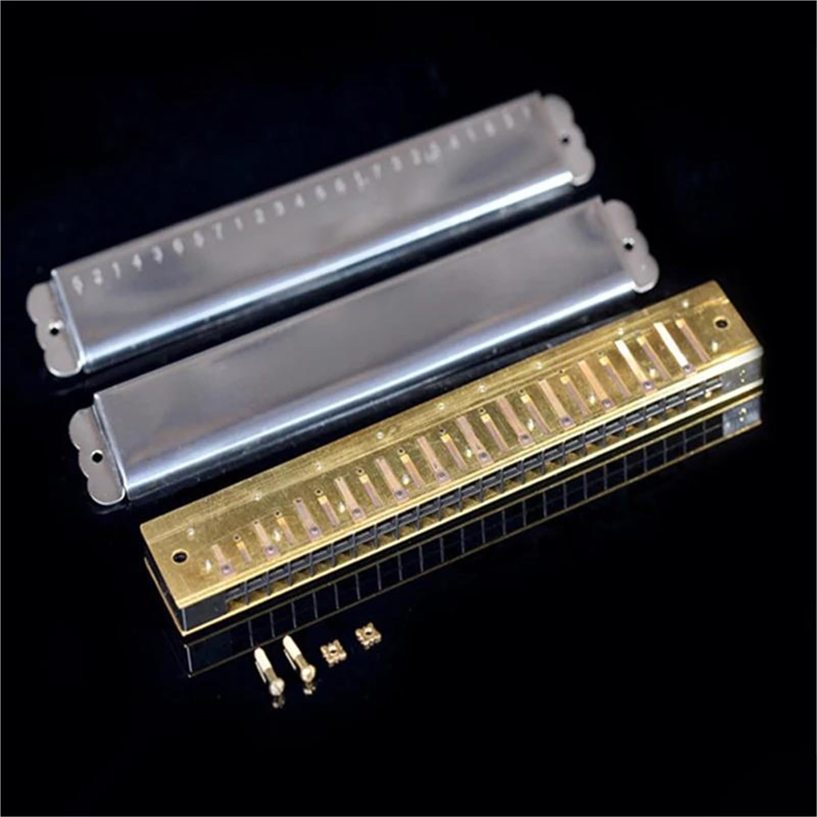 Armonica Armonica A Bocca Professionale A 24 Fori Con Tremolo Armonica A Bocca A 24 Fori Chiave In Do Con Custodia(C)
