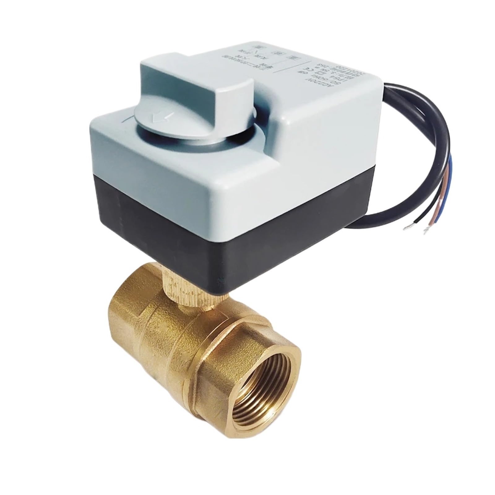 Vanne électrique 3/4 pouce DN20 en laiton 2 voies 220V pour réseau d'eau domestique