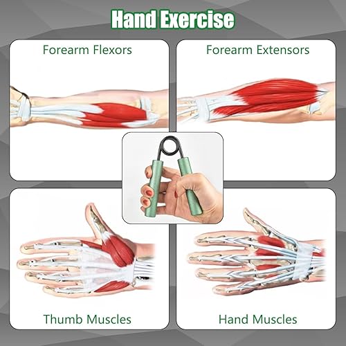 Miniatura 3 de CRAZYBELLY Paquete de 5 fortalecedores de agarre de mano para entrenamiento de fuerza 50100150200250 libras para fortalecer el ejercitador de agarre