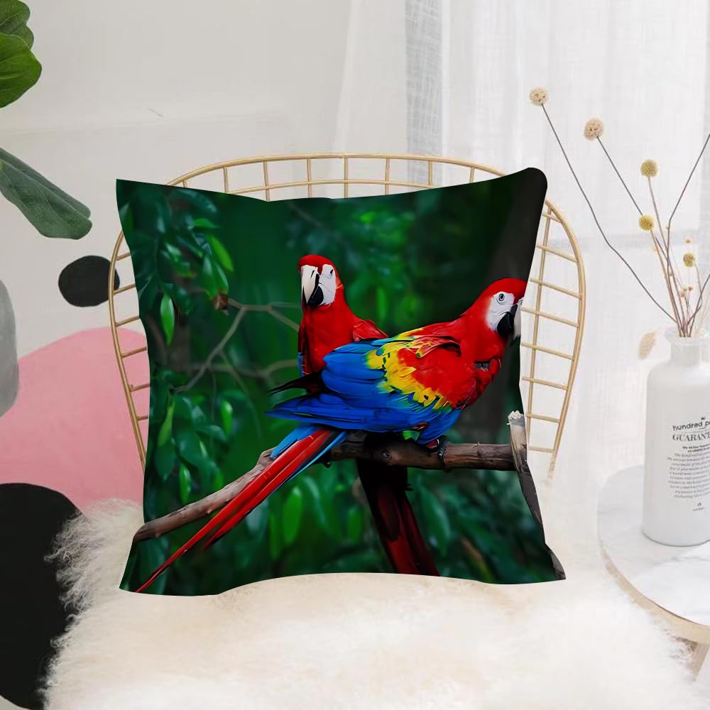 HYOSXW Cushion Cover,Throw Pillow Case Home Decorative for Living Room Bedroom Sofa Chair 16X16 Inch,Parrot, red macaw in the rainforest greenery,Pillowcase 40X40cm