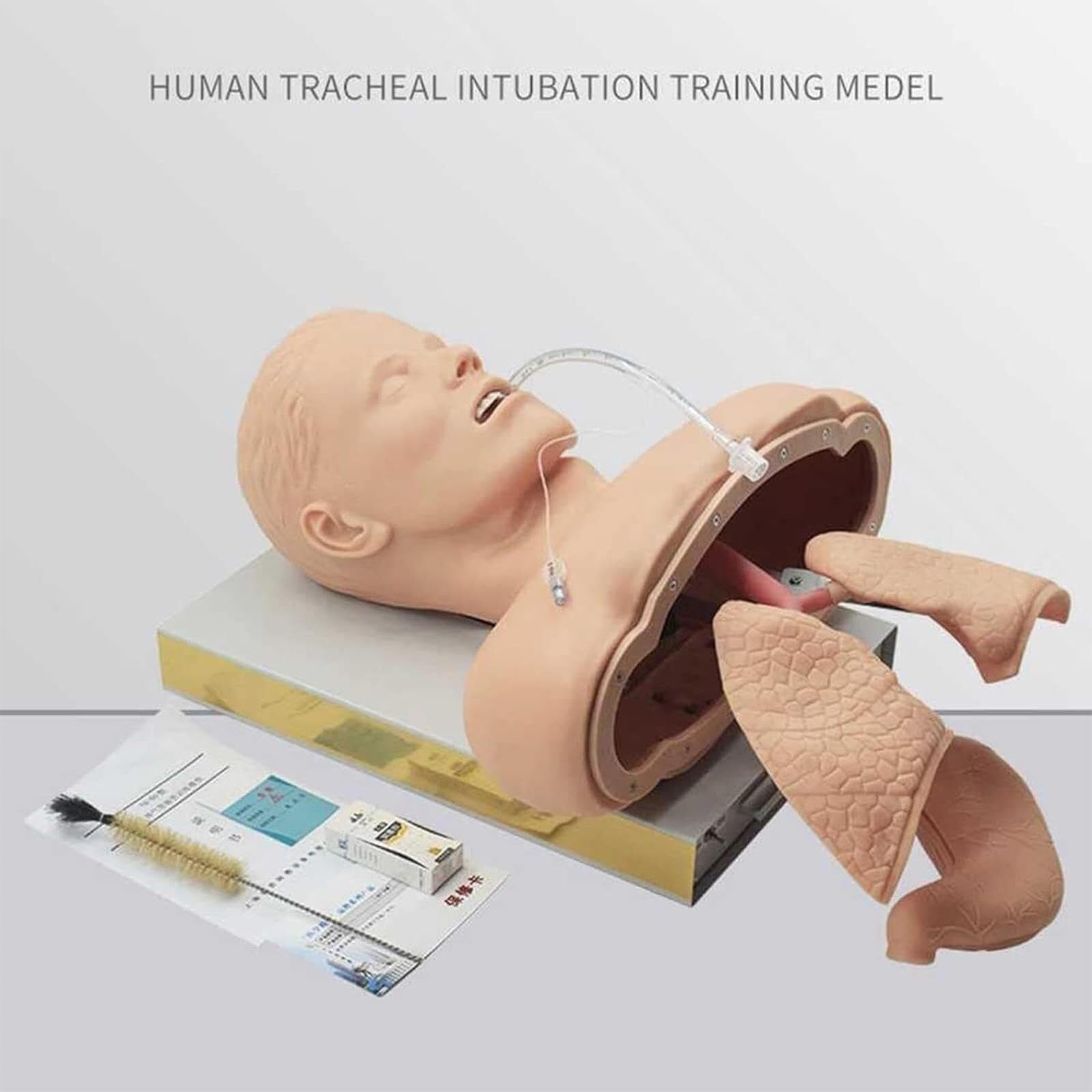 Human Training Simulator, Adult Intubation Anatomical Teaching Model, with Alarm Function, Intubation Human Model for Teaching and Research