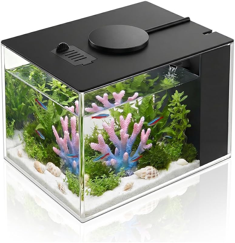DaToo 1 Gallon Fish Tank Betta Fish Tank Small Nano Aquarium Starter Kit with LED Lighting and Water Filter Pump System