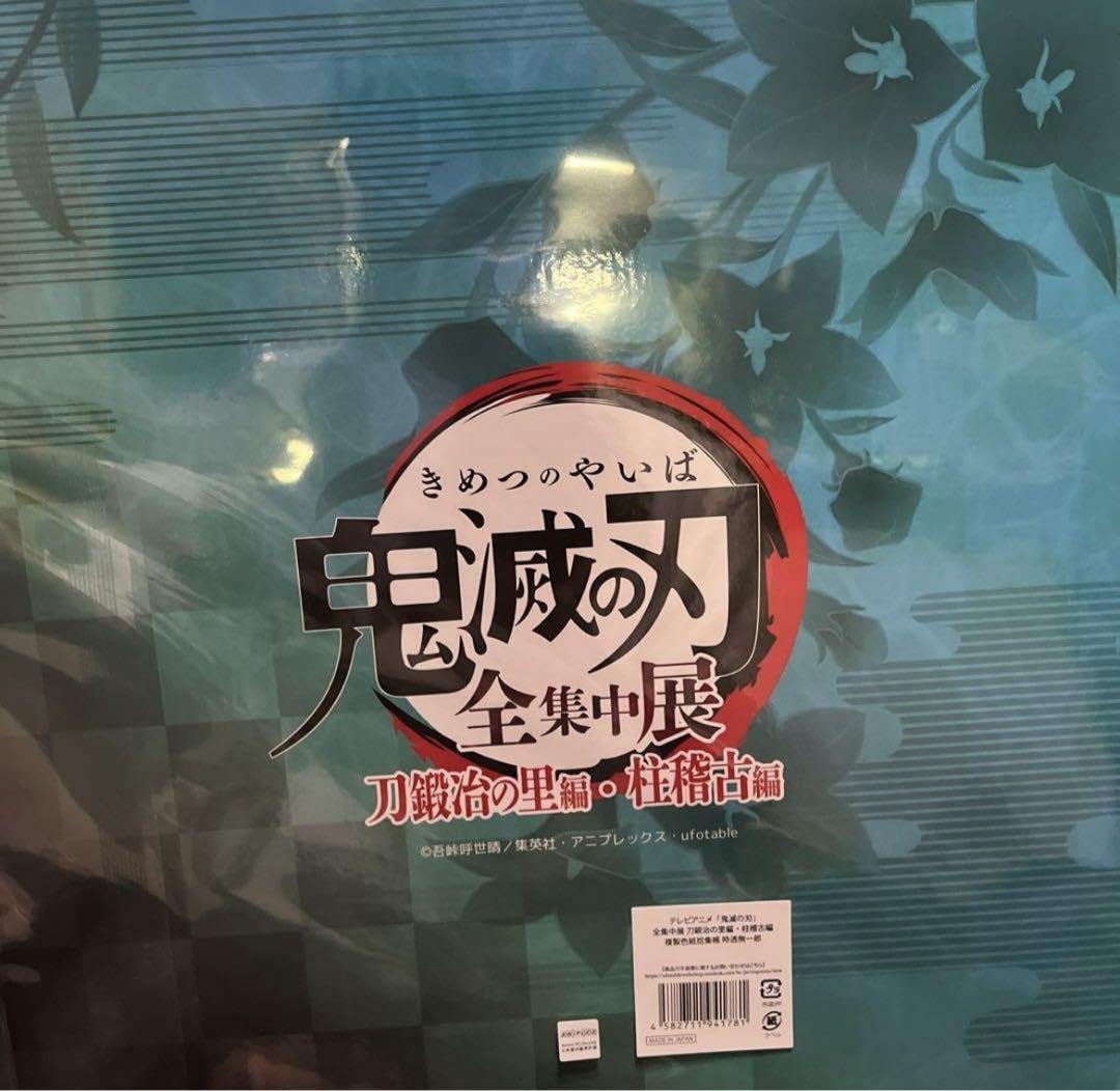 Amazon.co.jp: 鬼 滅 全集中展 複製色紙拾集帳 時透無一郎 : おもちゃ