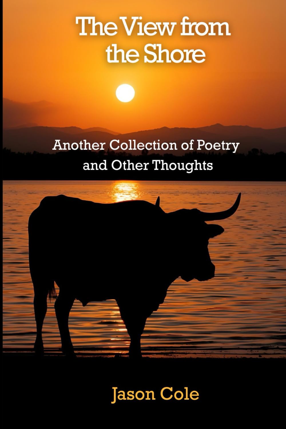 The View from the Shore: Another Collection of Poetry and Other Thoughts