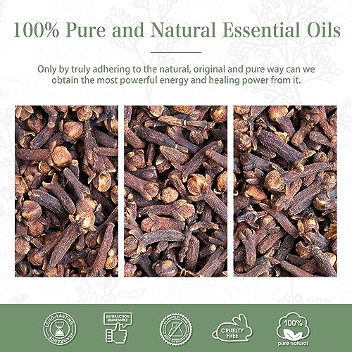 PHATOIL Oli Essenziali Chiodi di Garofano 100 ml
