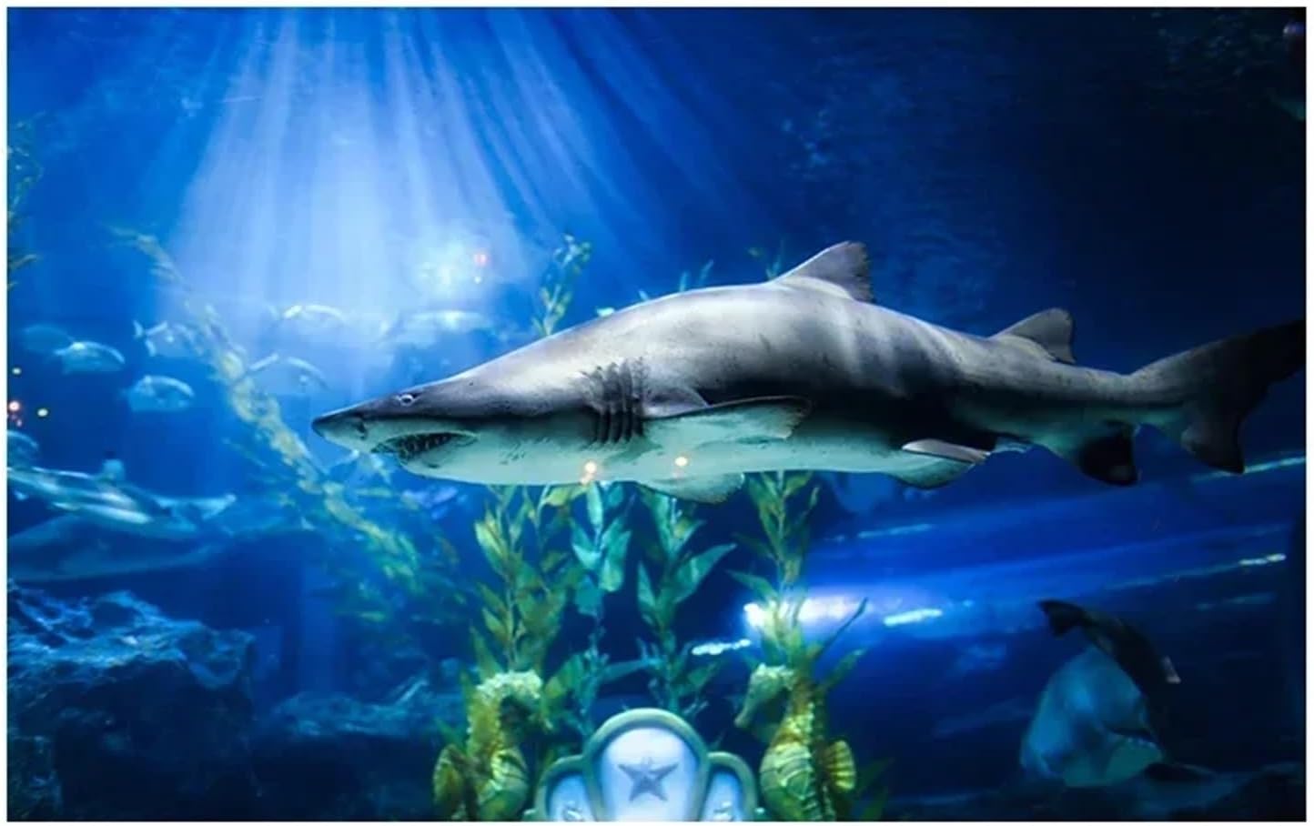 Aquarium Background PVC Fish Tank Decoration Poster Double Side 3D Background for Aquarium Ocean Plants Landscape(Gray,54x122cm)