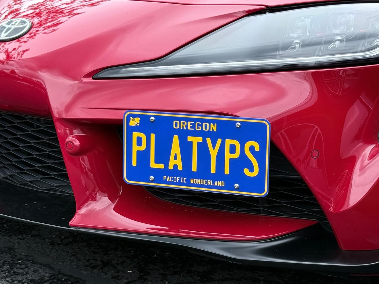 Amazon.com: CravenSpeed Platypus License Plate Mount Compatible