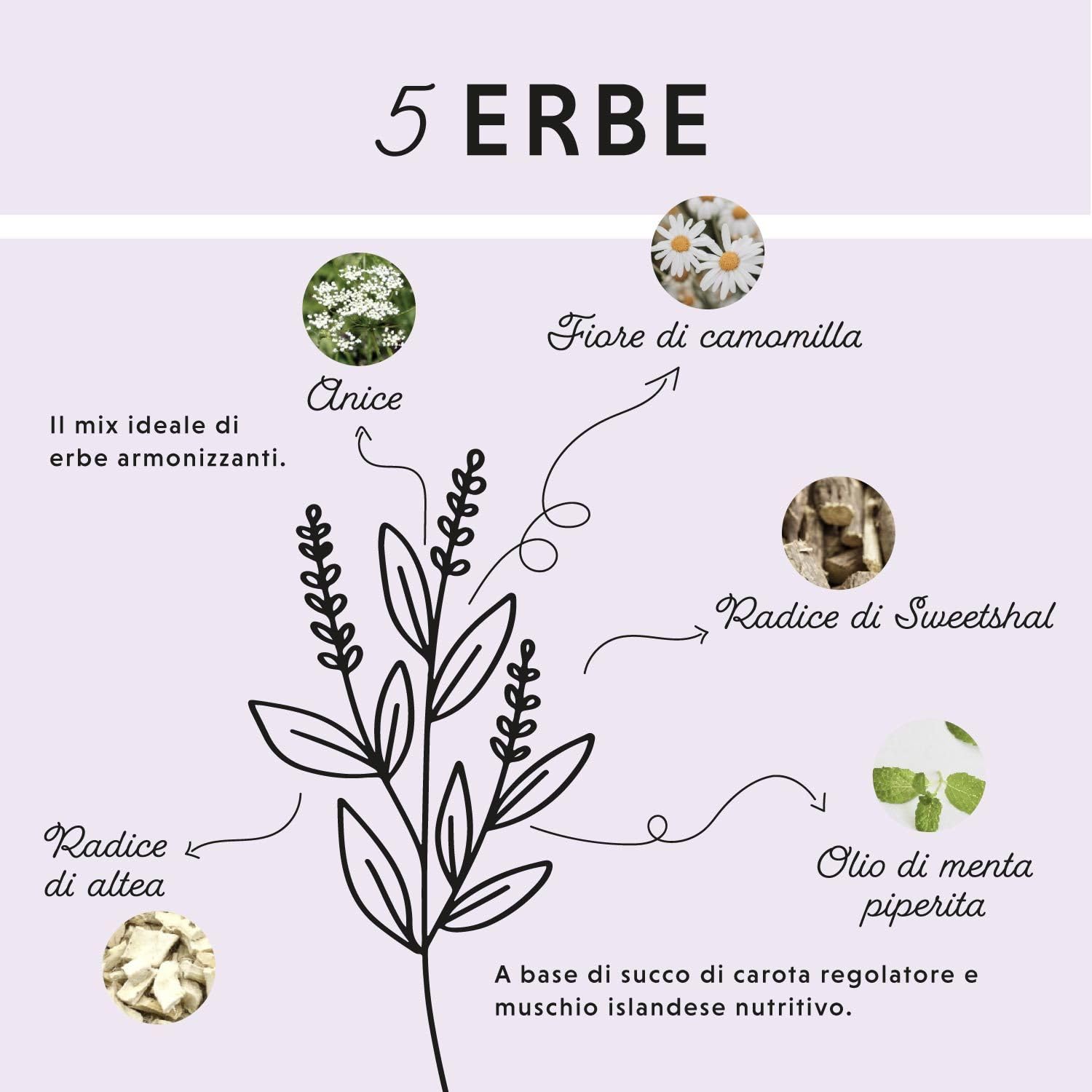 Liquido Gastro Intestinale per cavalli 1000 ml - Gastro Colon Vital per supportare la digestione, ad esempio in caso di diarrea - Erbe naturali per lo stomaco dei cavalli