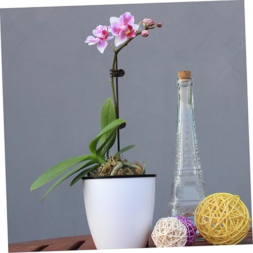 Miniatura 9 de 150 clips de orquídea de jardín, prácticos clips de soporte para plantas para asegurar tallos y enredaderas, protegen las orquídeas de daños por