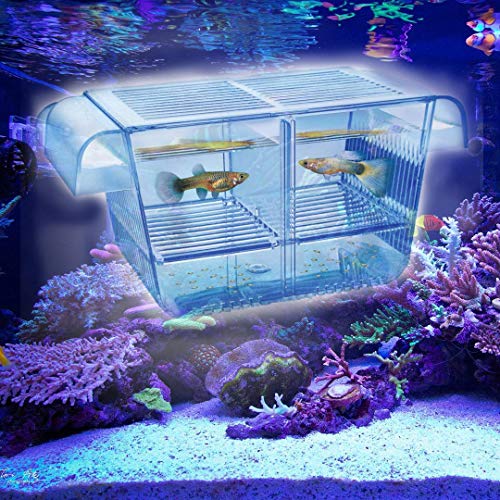 Lefunpets Aquarium Fish Breeding Box for Baby Fish Hatchery, Double Guppies Hatching Incubator