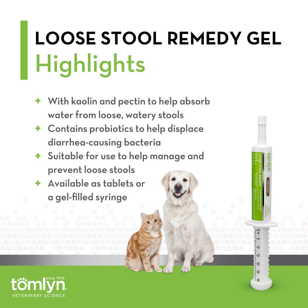 How Do You Treat Loose Stools In Dogs