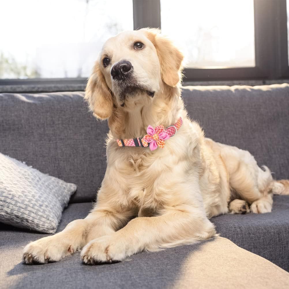 BINGPET Dog Collar with Flower - 2 Pack Adjustable Dog Collars with Detachable Flower Decorations, Cute Dog Collar for Medium and Large Dogs, Plaid Large Dog Collar for Summer