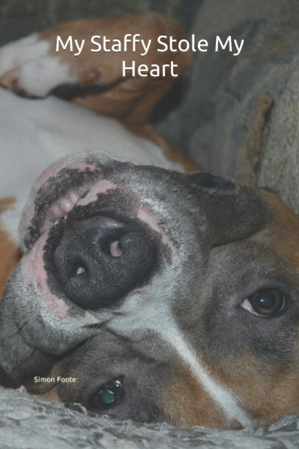 My Staffy Stole My Heart