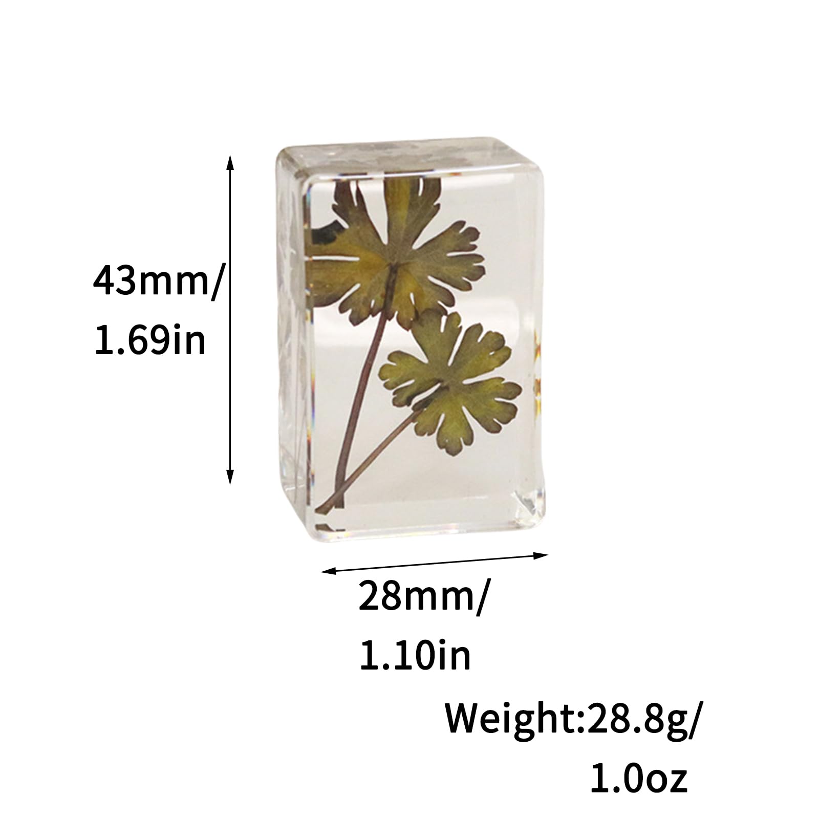 Ucubwfu 12pcs Dried Green Plant Flower Drip Gel Specimen, Children's Hobby Science Education Products, Microscope Observed Green Leaf Specimen