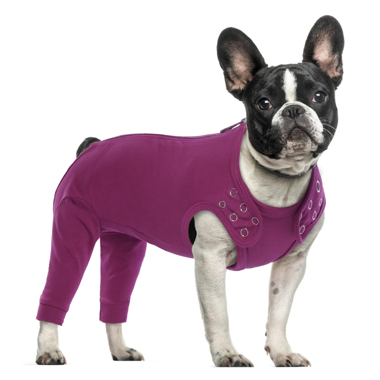 PUMYPOREITY Small Dog Recovery Suit, Elbow Brace Dog Surgical Vest Recovery Protective Sleeve Small Breed Leg Covering Prevents Pet from Licking or Biting at Their Wounds(Purple-red, S) โ image 1