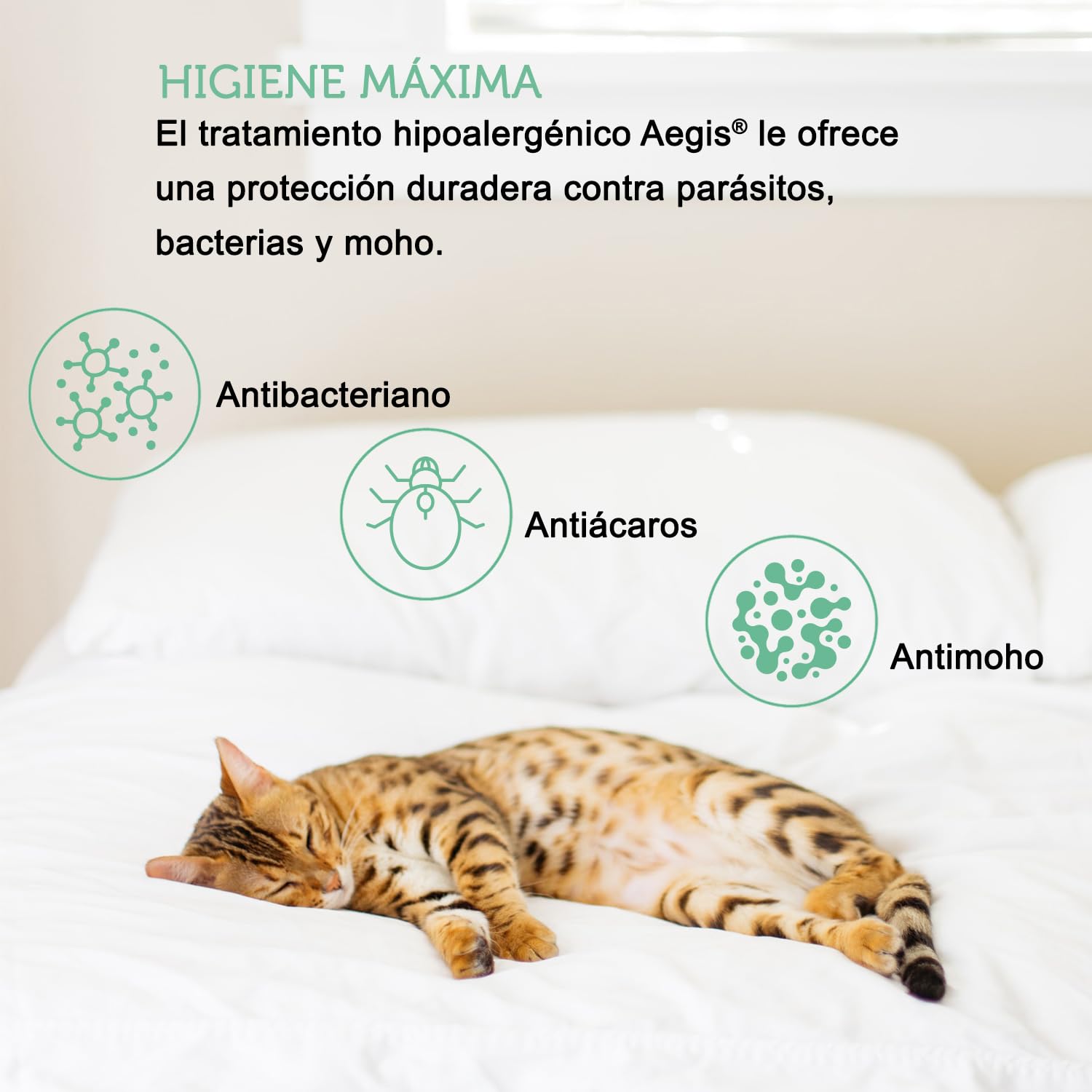 Funda Protectora Almohada 50x70 cm (Pack 2) en Tencel™ Impermeable con Cierre de Cremallera - Certificado Oeko-Tex® en Fibra Ecológica y Sostenible Aegis