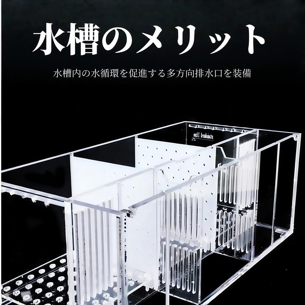 Amazon | Pazeku ミニデスクトップベタ水槽セット、自己循環生態、観賞