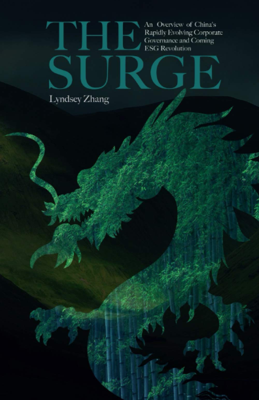 The Surge: An Overview of China's Rapid Evolving Corporate Governance and Coming ESG Revolution Paperback – Import, 27 March 2021