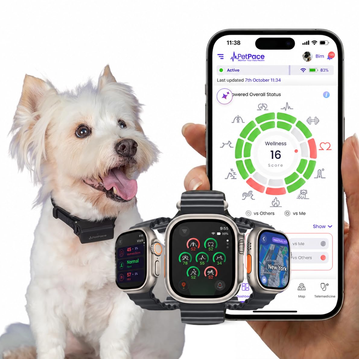 PetPace Dog Health Monitor V3.0