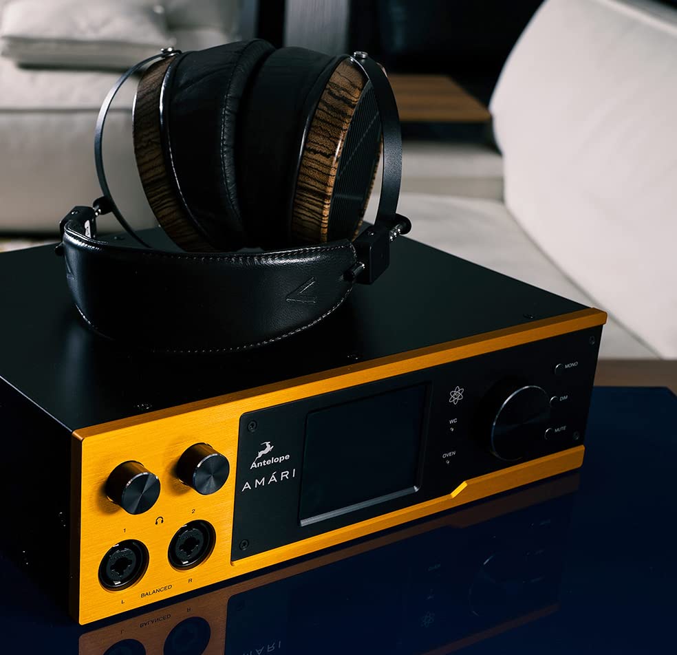 Amazon.com: Antelope Audio Amari Reference-Grade AD/DA Converter w 