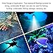 Pilipane Diving Flashlight Underwater Scuba Dive, Diving Flashlights, IPX8 Watertight Professional Rechargable Dive Light, 5000LM Diving Flashlight with Power Indicator
