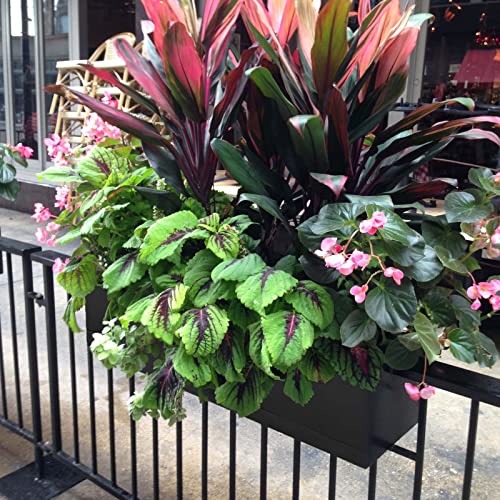 Ziqi 10 Pack Flower Window Box Planter 17 Inch Rectangular Flower Planter Boxes With Tray, Plastic Vegetable Planter Pots For Windowsill, Garden, Porch, Home Décor, Indoor Outdoor (Black) #TOP4