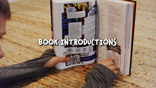 Image of The Action Bible Study Bible ESV, Hardcover, Full Color (Action Bible Series)