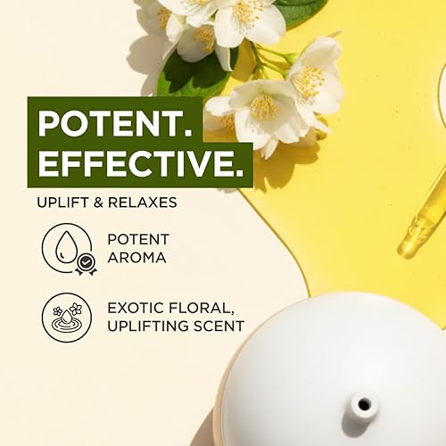 Miniatura 99 de Gya Labs - Aceite esencial de clavo para el dolor de dientes, tópico para el cuidado de la piel y las náuseas, impulsa las defensas del cuerpo