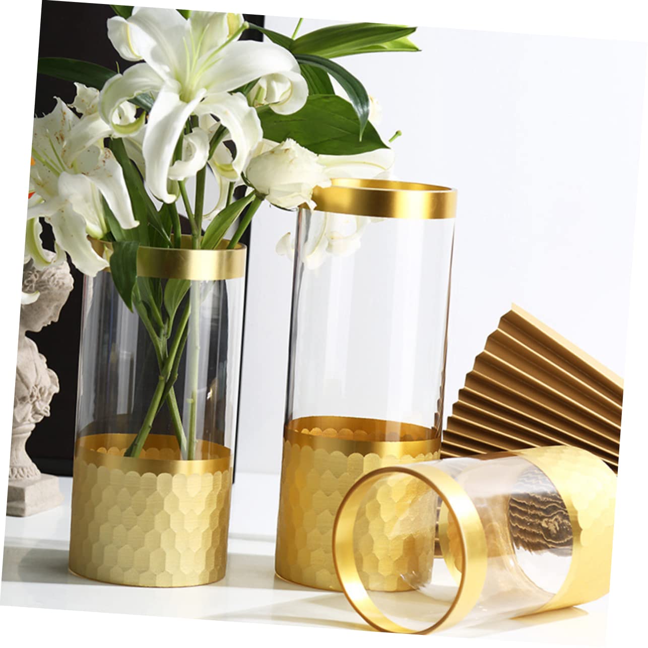 Vase Transparent en Verre pour Culture Hydroponique, Modèle 1 Pièce