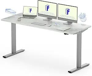 FLEXISPOT EC1 Essential Height Adjustable Desk 60 x 24 inch Electric Standing Desk Stand Up Desk for Home Office (Gray + Marble Gray Top)