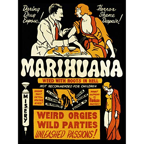 Political Drug Abuse Marijuana Weed Weird Cool Large Art Print Poster Wall Decor 18x24 inch