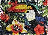 Tukan Knüpfhaken-Set, Motiv: Vogel und Blumen, Teppich, DIY, Kissen, Tapisserie, Häkelnadel, Teppichherstellung, Set mit farbigem vorgedrucktem Muster, Leinwand, Teppich, Kissen, Teppich, Handarbeit
