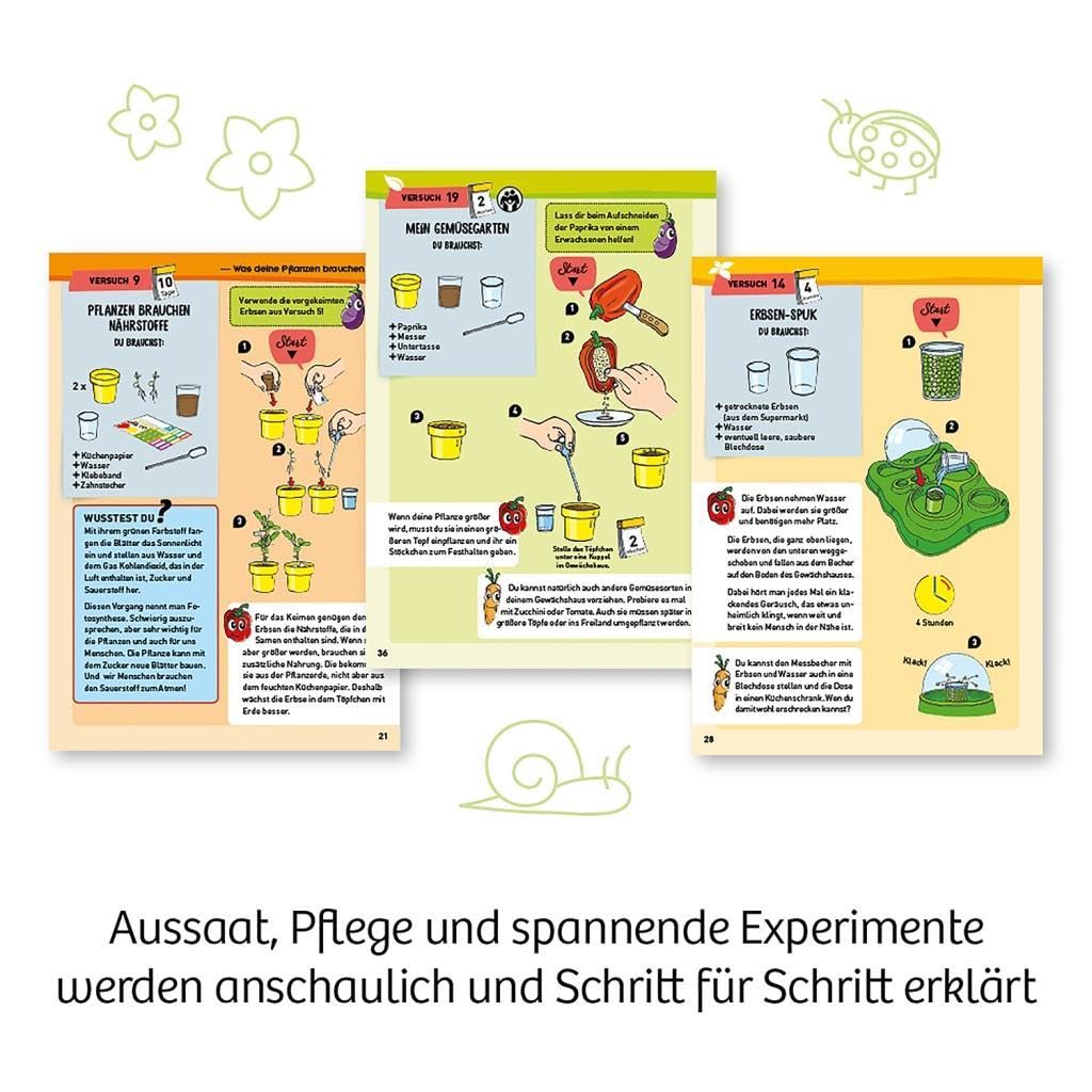 Mein erstes Gewächshaus: Experimentierkasten