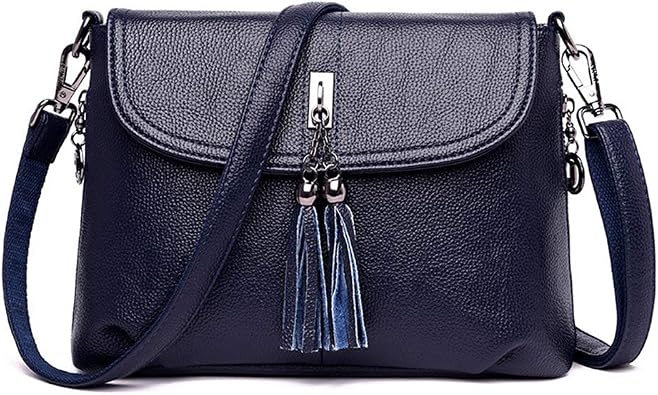 MINTEGRA Crossbody Bag for Women with Tassel Functional Shoulder Purse Saddle Messenger Bag