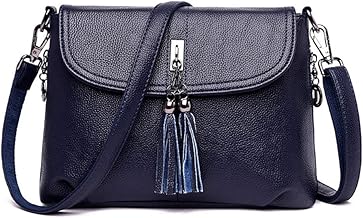 MINTEGRA Crossbody Bag for Women with Tassel Functional Shoulder Purse Saddle Messenger Bag