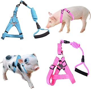 Mini Pig Harness, 2 Pieces Adjustable Small Pig Harness with Leash Set Pet Pig Harness Supplies Harness Set for for Hog Piggy Rabbit Small Animals Walking Jogging (M, Pink and Blue)