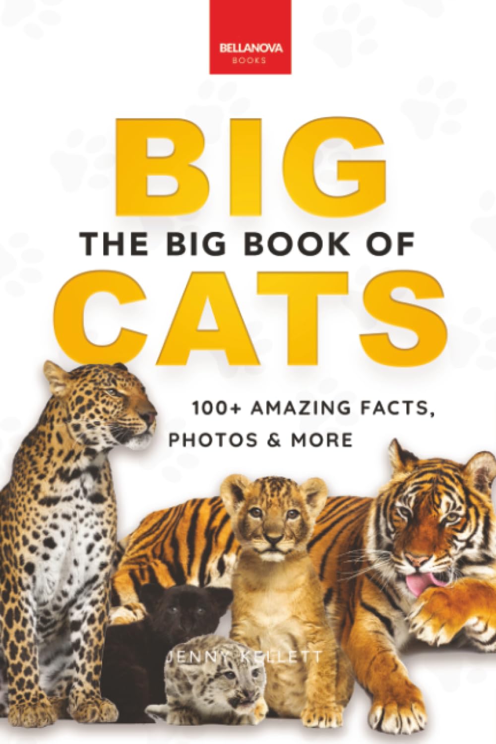 The Big Book of Big Cats: Big Cat Facts: 100+ Amazing Facts About Lions, Tigers, Leopards, Snow Leopards & Jaguars: 30 (Animal Books for Kids)