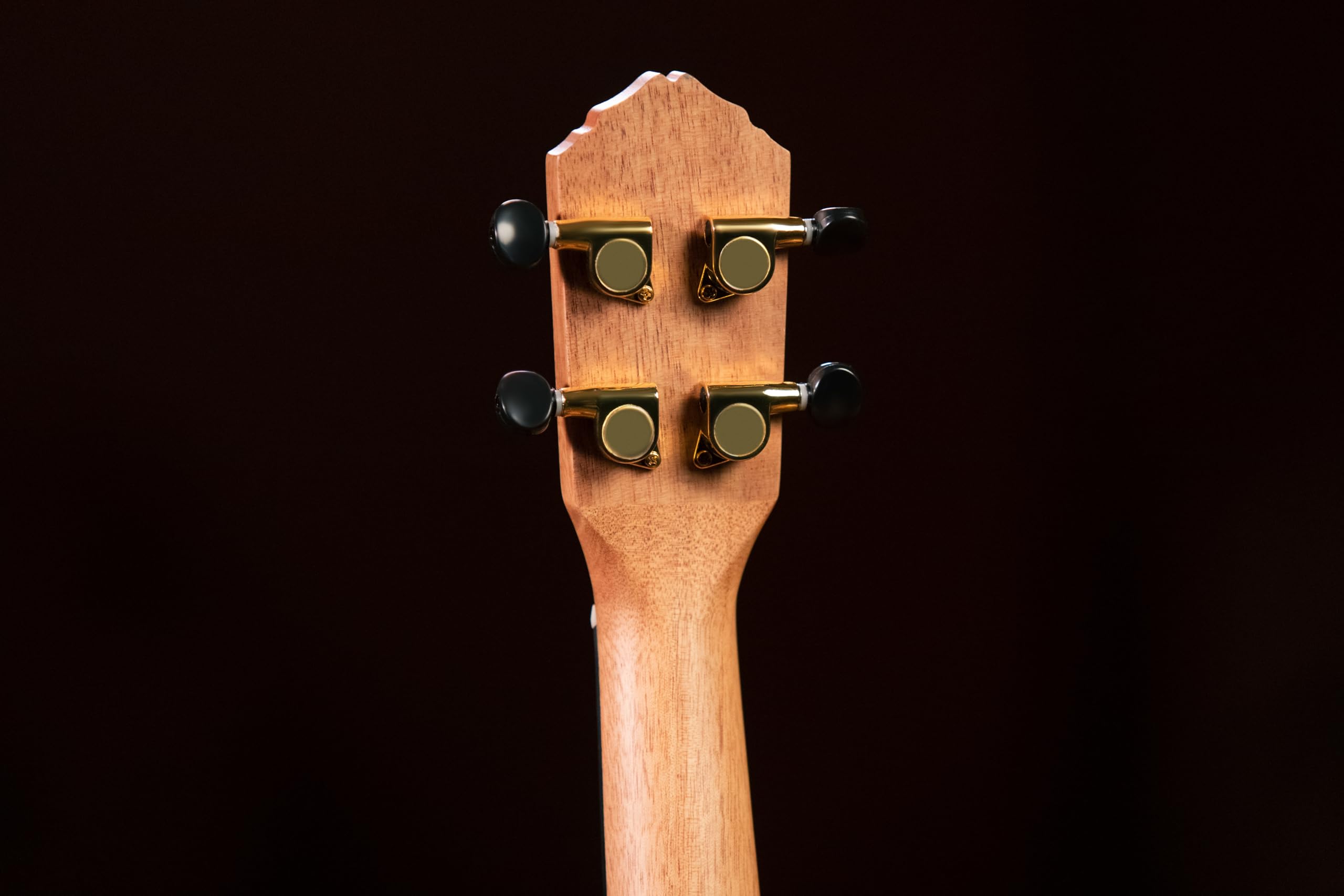 Ortega Guitars Akustyczne Ukulele Koncertowe – Seria Timber – W Zestawie Z Pokrowcem – Heban, Wykończenie Naturalne (RUEB-CC)