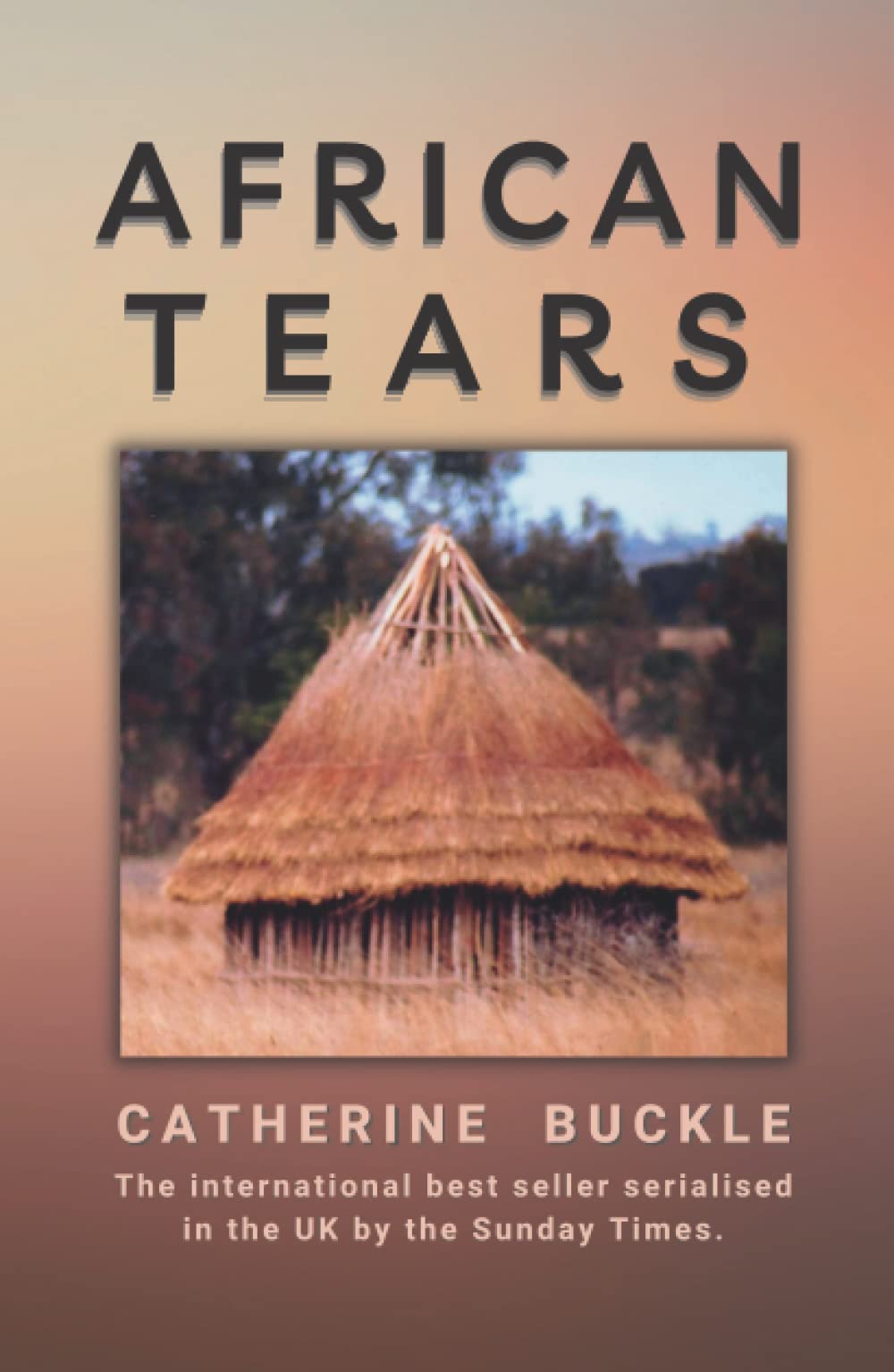 African Tears (Life During Political Crises in Zimbabwe)