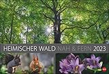  Wald nah und fern Edition Kalender 2023. Der Wald von seiner schönsten Seite in einem XXL Wandkalender. Kalender Großformat mit idyllischen Landschafts-Fotos.