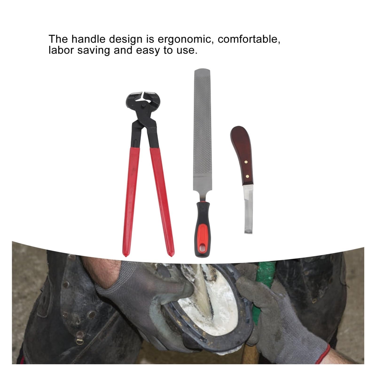 Kit De Herramientas Reparación Pezuñas, Lima Acero Doble Cara, Recortadora , For Caballos, Ganado, Ovejas, Burros