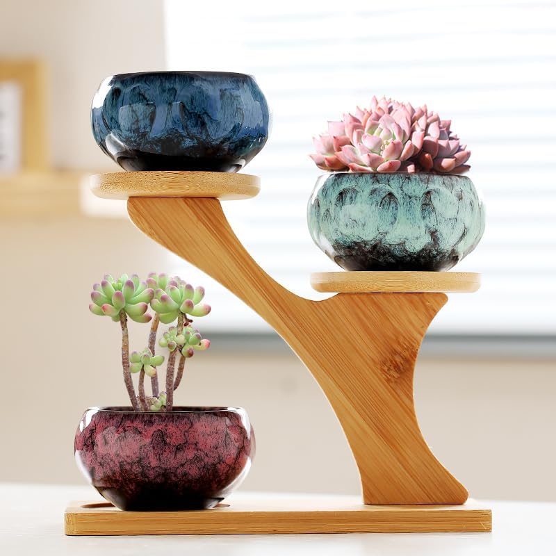Miniatura 2 de YYW Macetas para suculentas con drenaje de cerámica, macetas pequeñas de cactus con nivel de árbol, soporte de bambú, maceta poco profunda para