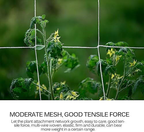 Miniatura 6 de Red de enrejado de jardín - Cordón de nailon elástico resistente con malla de alcance de 5 pies x 350 pies (6 pulgadas)