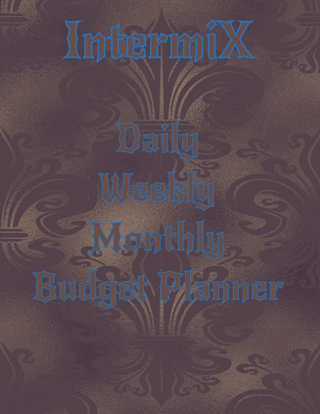 Intermix Daily Weekly Monthly Budget Planner: Authentic Knowledge