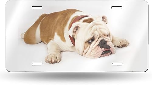 Placa de matrícula decorativa de bulldog inglés para automóvil, etiqueta de tocador, placa de metal para automóvil, placa de aluminio novedosa para