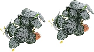 iplusmile 2 Peças Caixa De Escalada Para Animais De Estimação Paisagismo Decoração De Videira Acessórios De Barba Acessórios De Lagarto Réptil Esconder Planta Réptil Decoração De Terrário