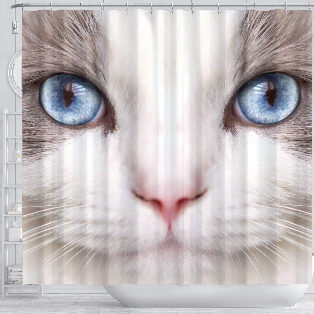 Ragdoll Cat Print Shower Curtain