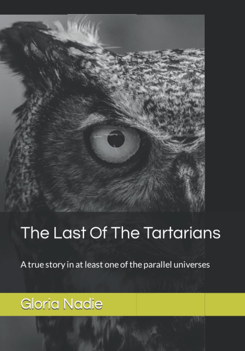 The Last Of The Tartarians: A true story in at least one of the parallel universes