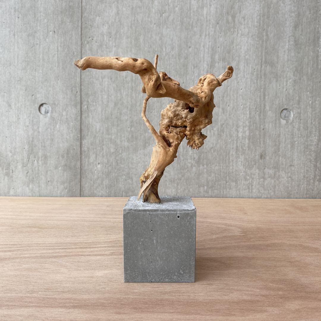 コンクリート盆栽 流木オブジェ ディスプレイ 高級感 スタイリッシュ