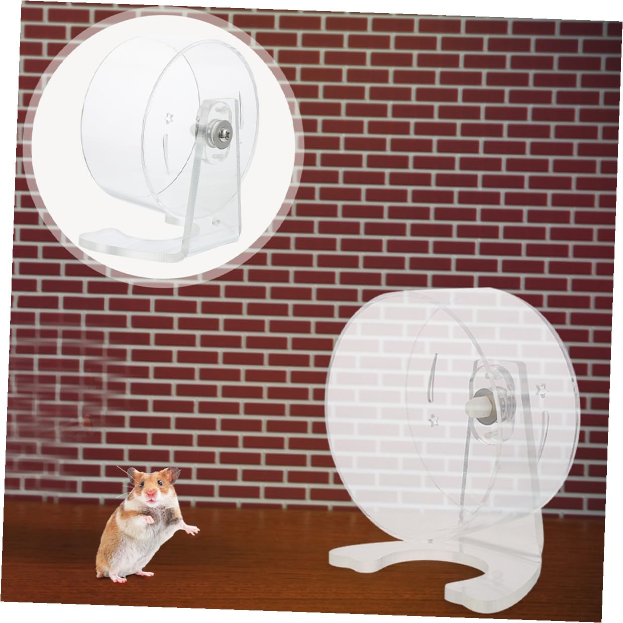 NUOBESTY Rueda para Hámster Transparente con Soporte 22 CM Rueda de Ejercicio Silenciosa para Jerbos y Mascotas Pequeñas Juguete Deportivo para Jaulas Fomenta Actividad Saludable